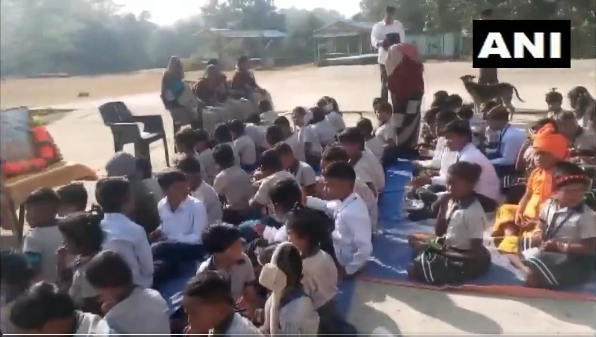 Stray dog venomous snake (1)