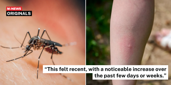mosquito bites