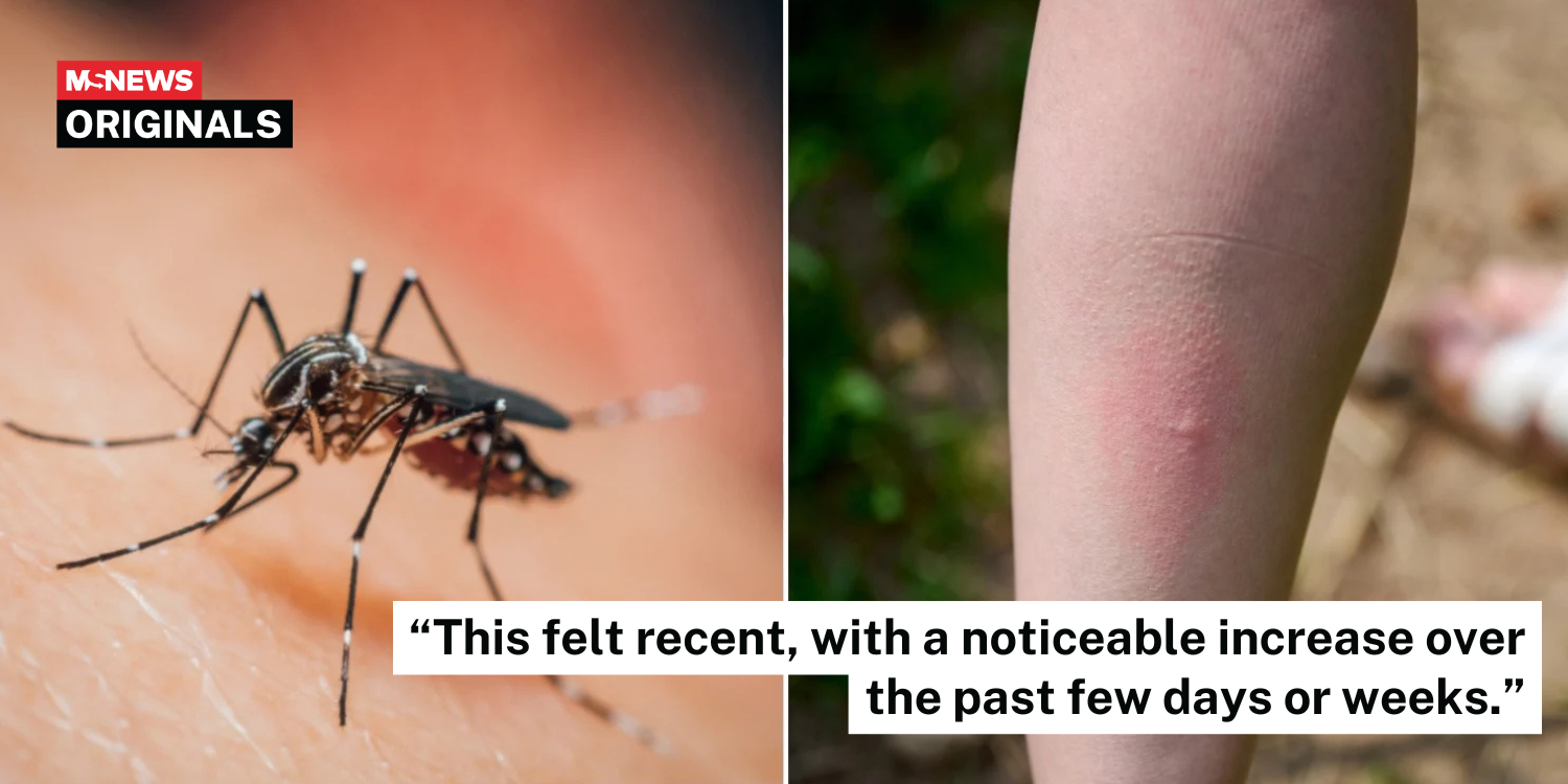 mosquito bites