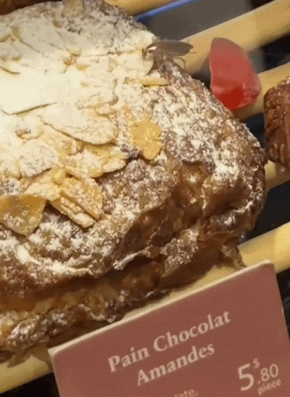 cockroach changi airport