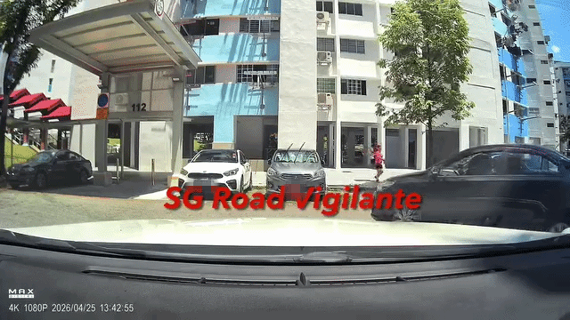 walking around with dog