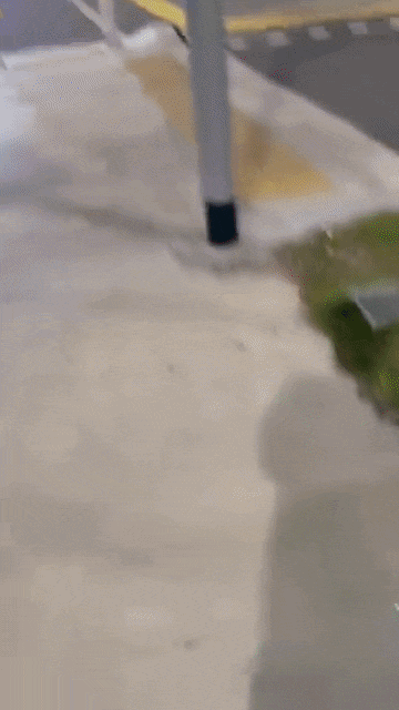 families riding mobility scooters