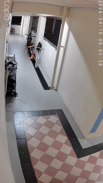 throws shoes into rubbish chute