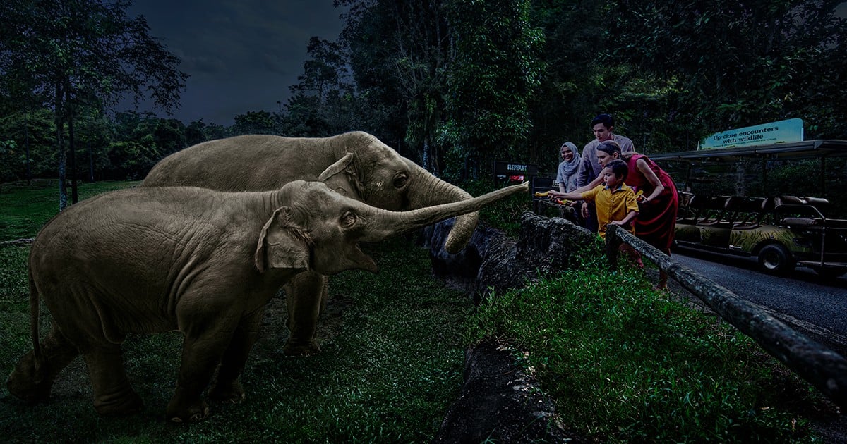 geneco anniversary deals