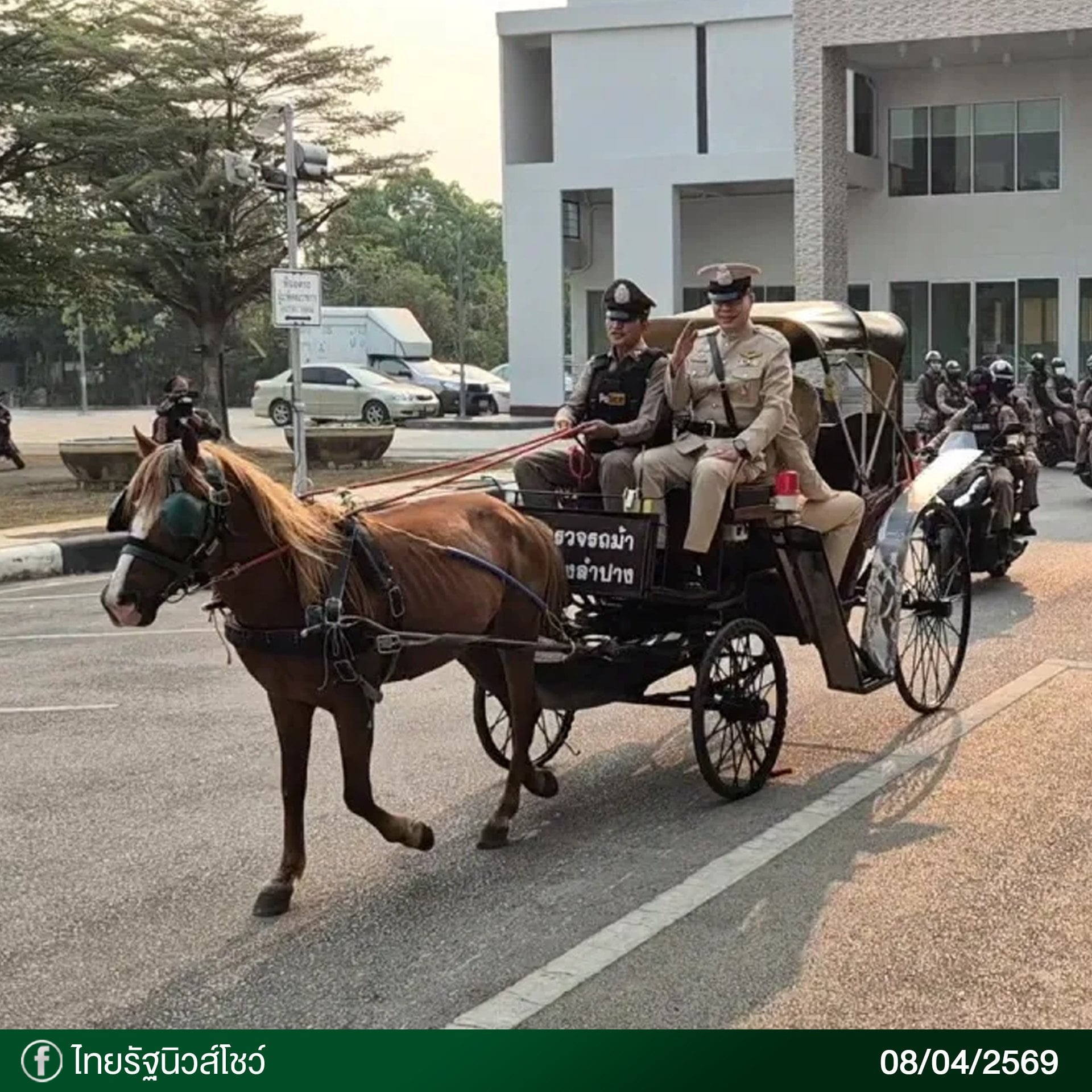 horse carriages buffaloes petrol patrol