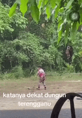 kids stomping cat shoe