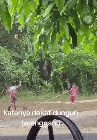 kids stomping cat dragging