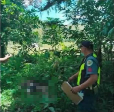 man found dead wife's grave
