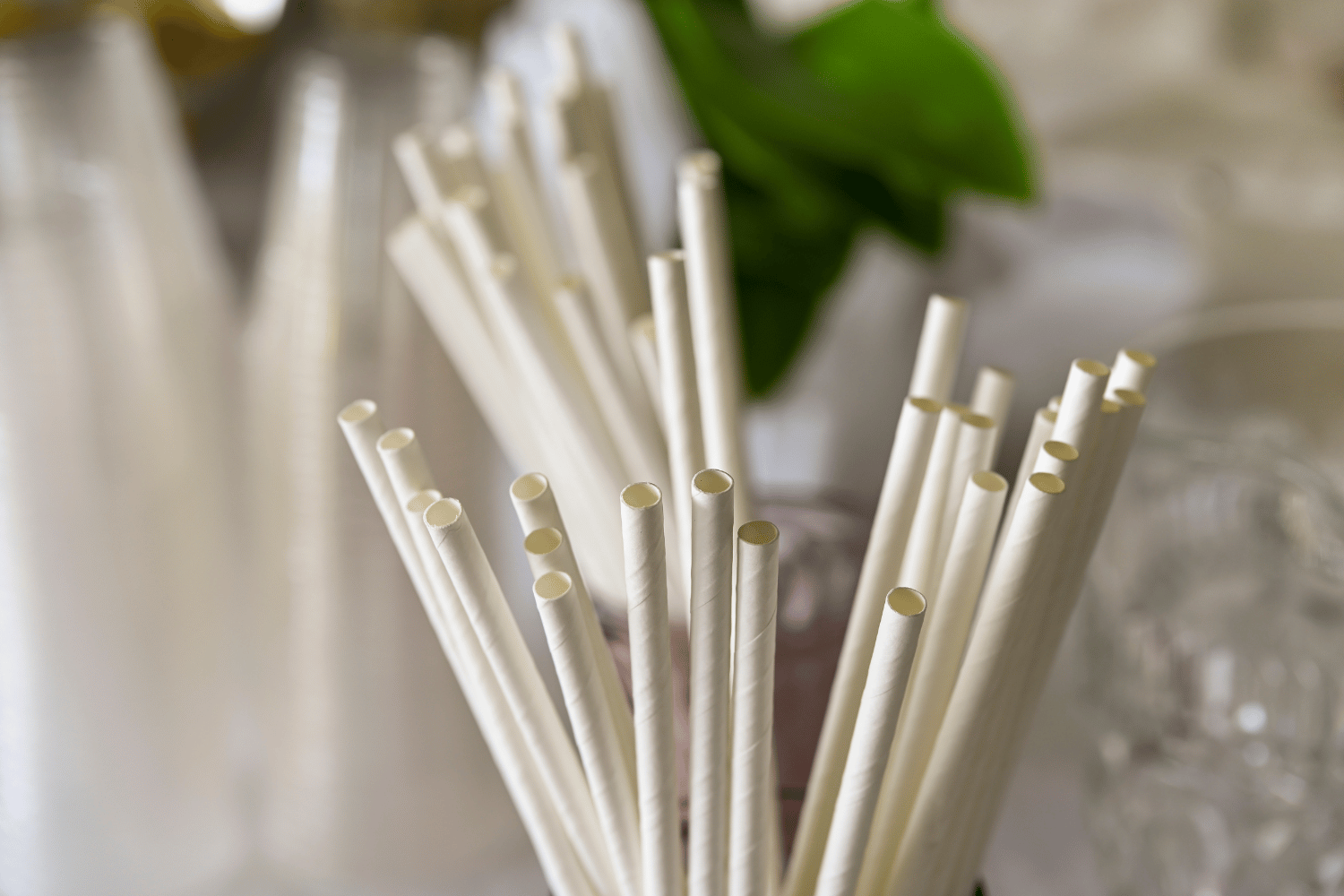 sdp criticise message