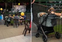 pet dogs hawker centre