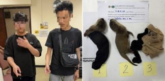 taiwanese protected animals