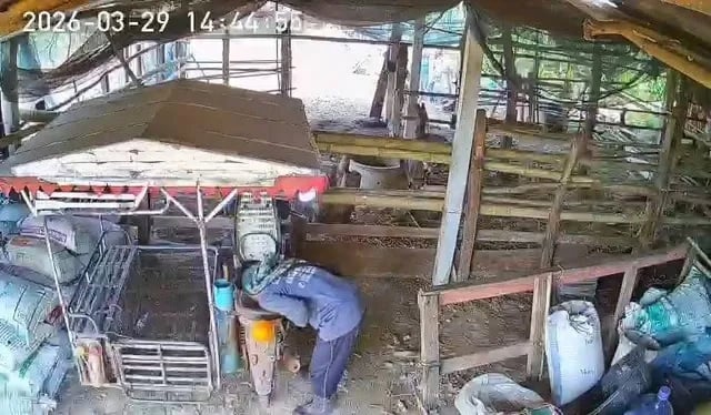 thief siphon oil motorcycle footage