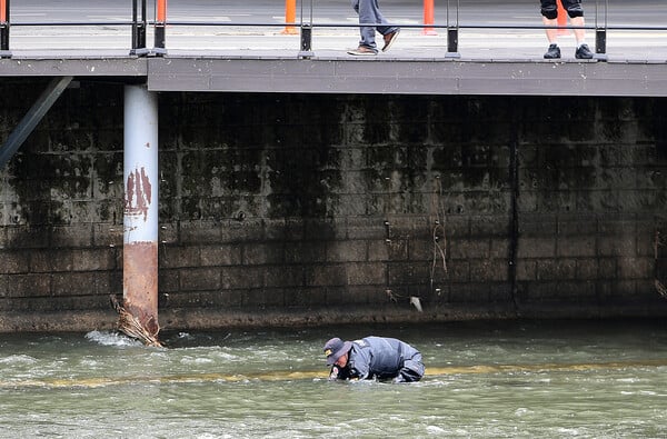 woman stuffed suitcase korea