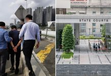 Ng Teck Lee handed 38 extra charges