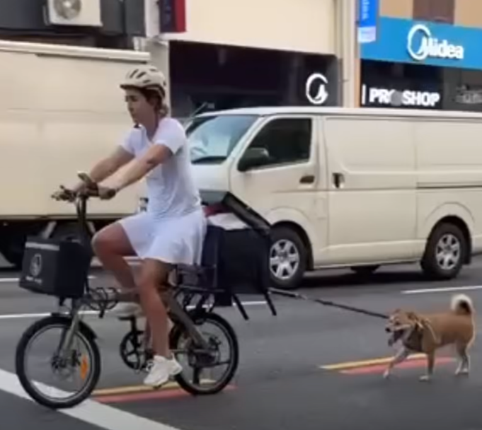 cyclist dog bicycle
