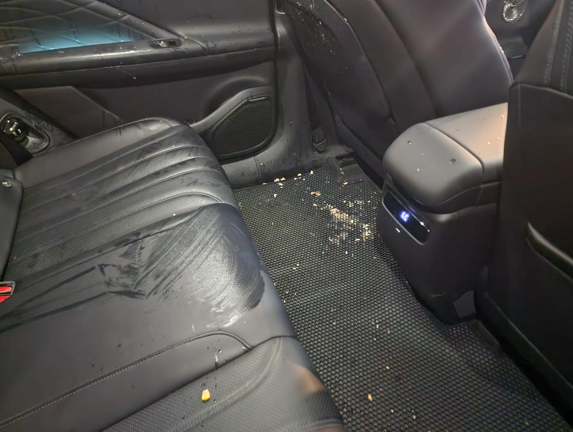 vomit in car