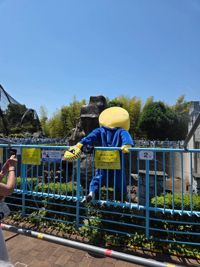 american tourist punch enclosure jumping