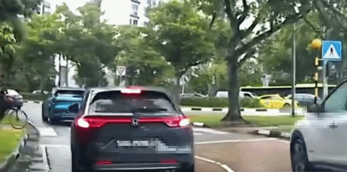 car cyclist zebra crossing