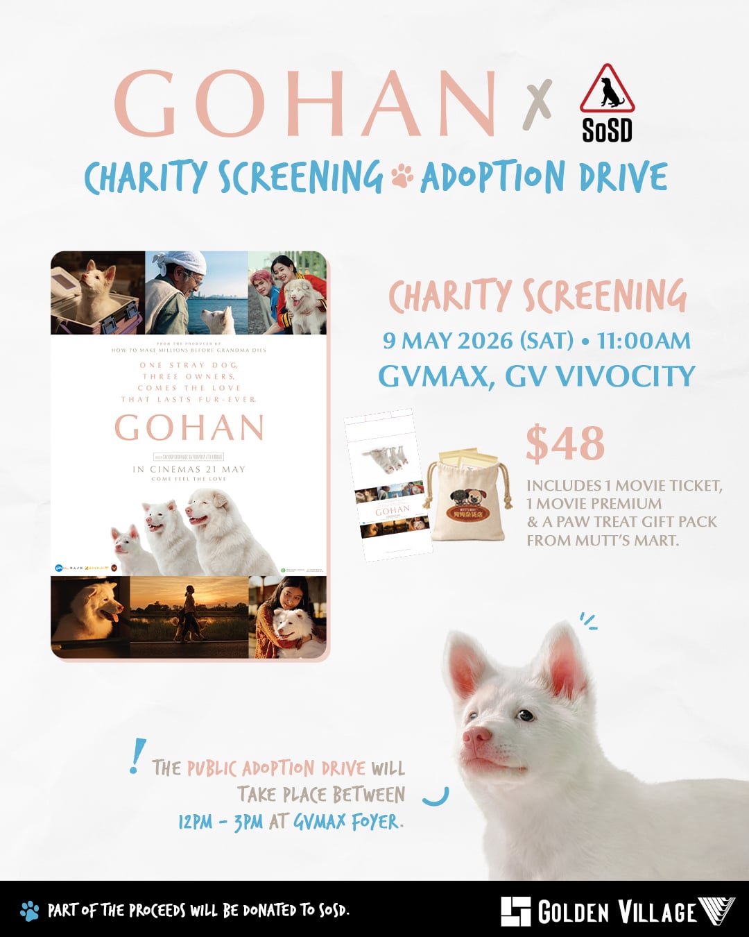 charity screening gohan poster