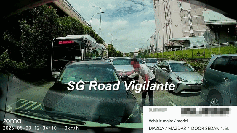 bmw driver phv