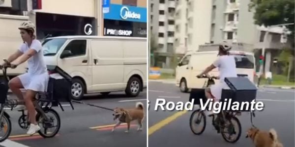 cyclist dog bicycle