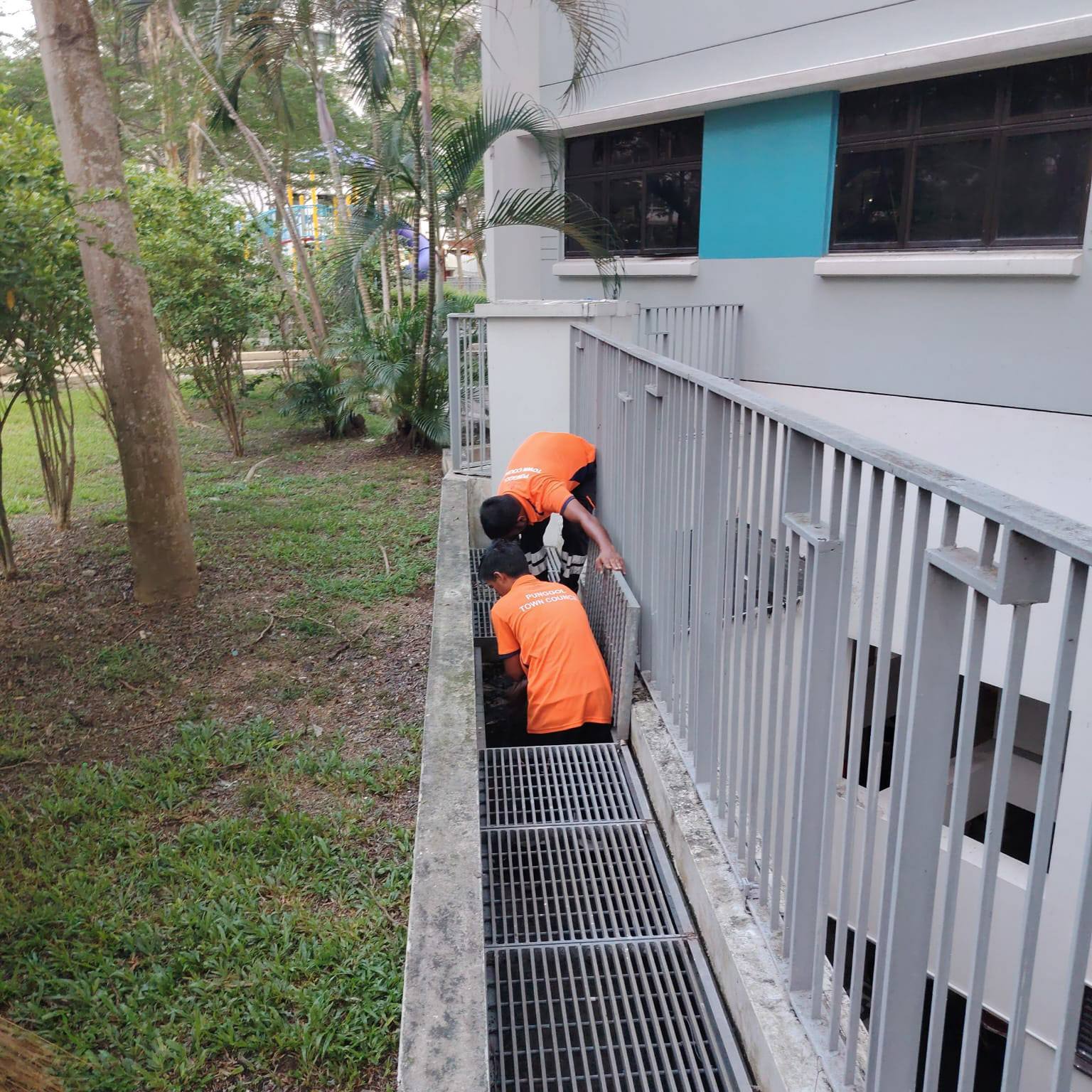 punggol drains cleaners