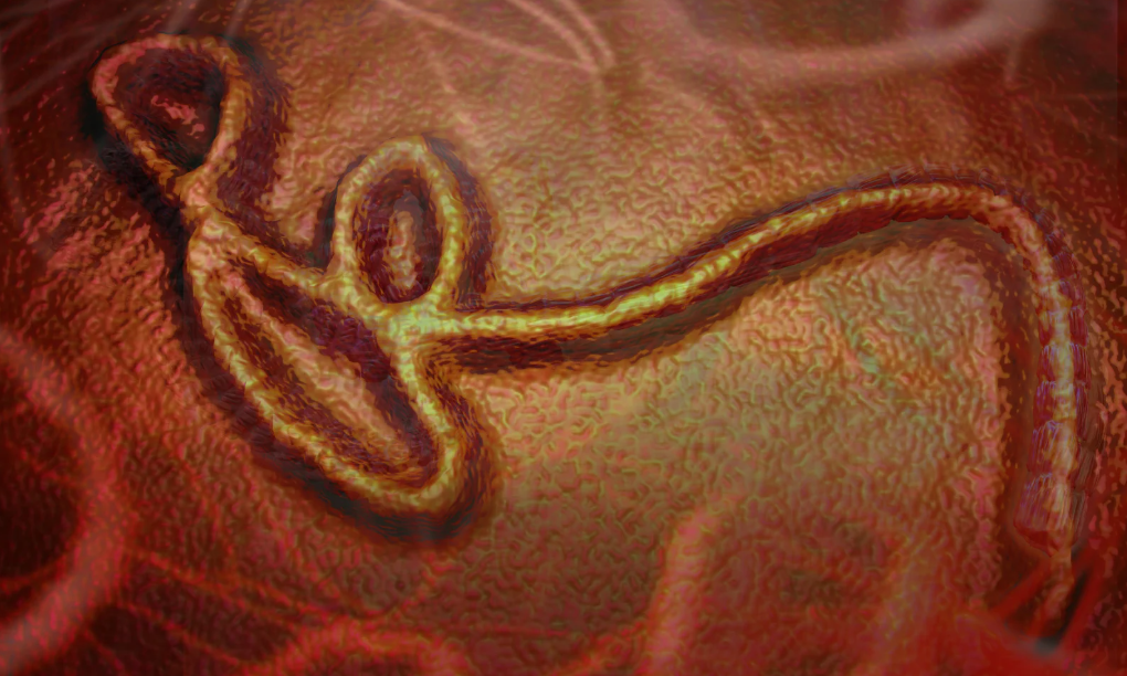 ebola singapore (1)