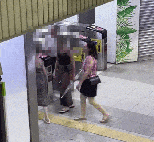 foreigners evade fare
