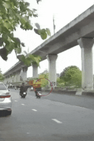 rider hit train