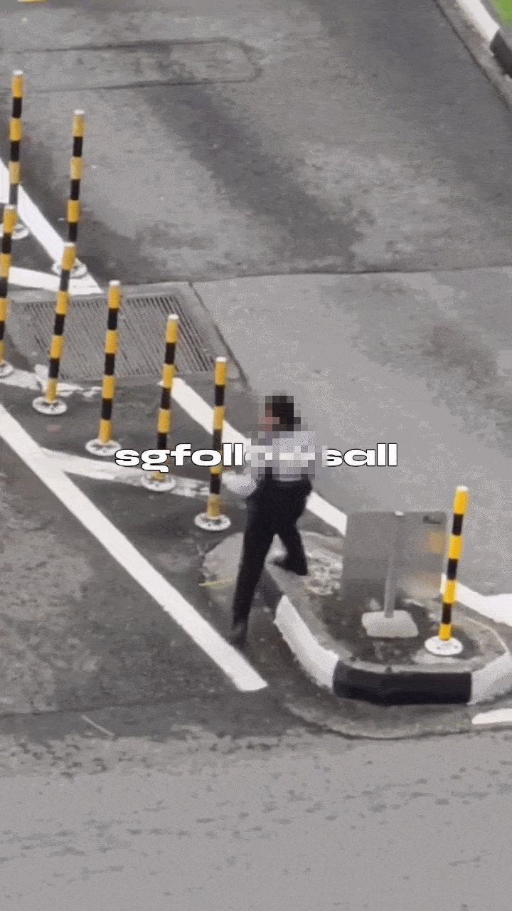 Traffic Police