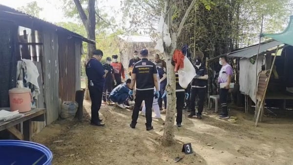 father kills son mental investigation