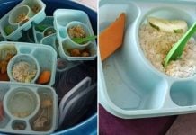 food subsidy leftovers