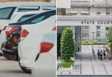individuals deregistered vehicles