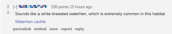 laughter missing hiker comment 2
