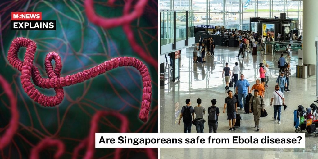 ms-explains-ebola (1)