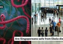 ms-explains-ebola (1)