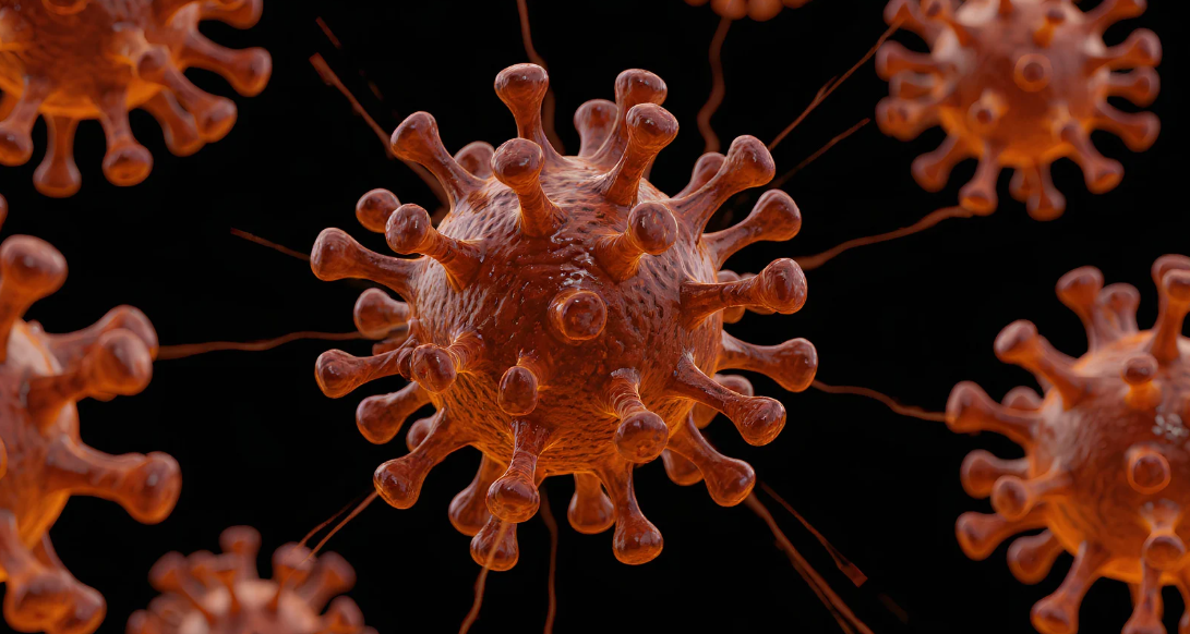 new coronavirus strain bats thailand