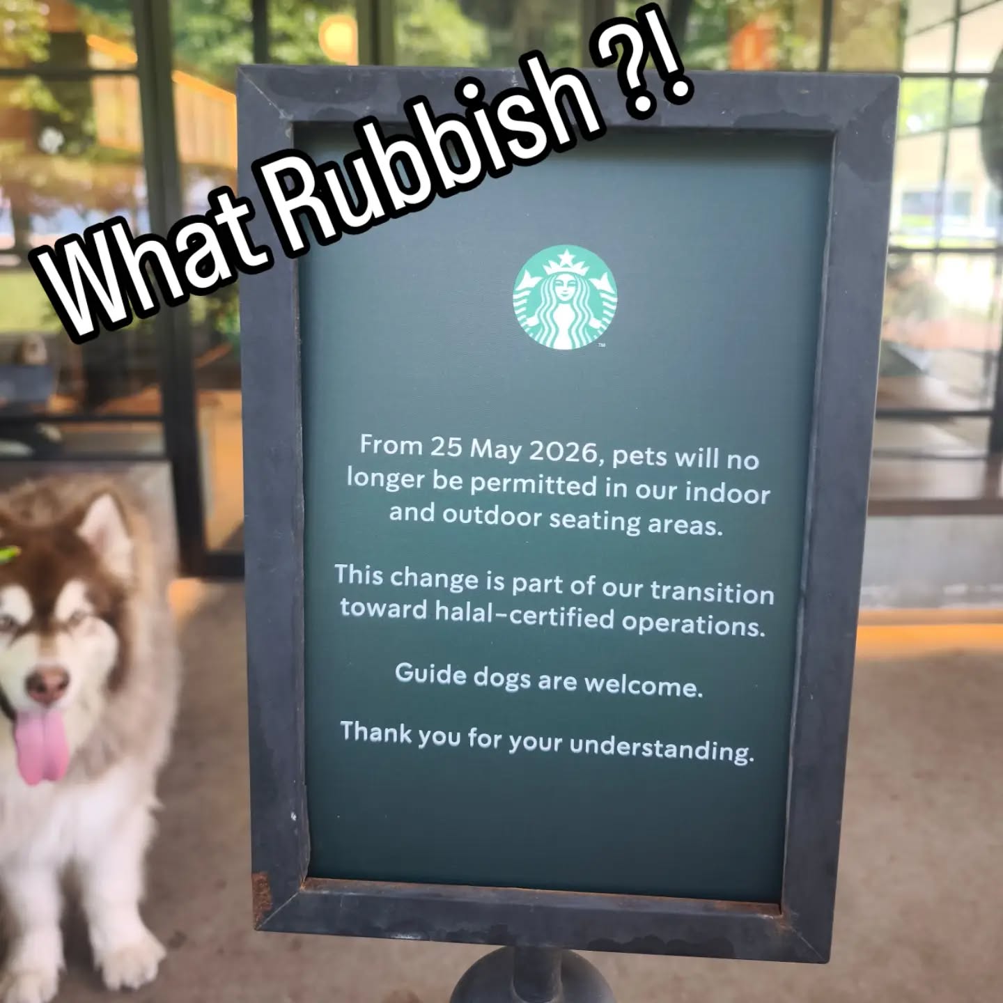 chimichanga starbucks
