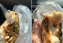 plastic in bread
