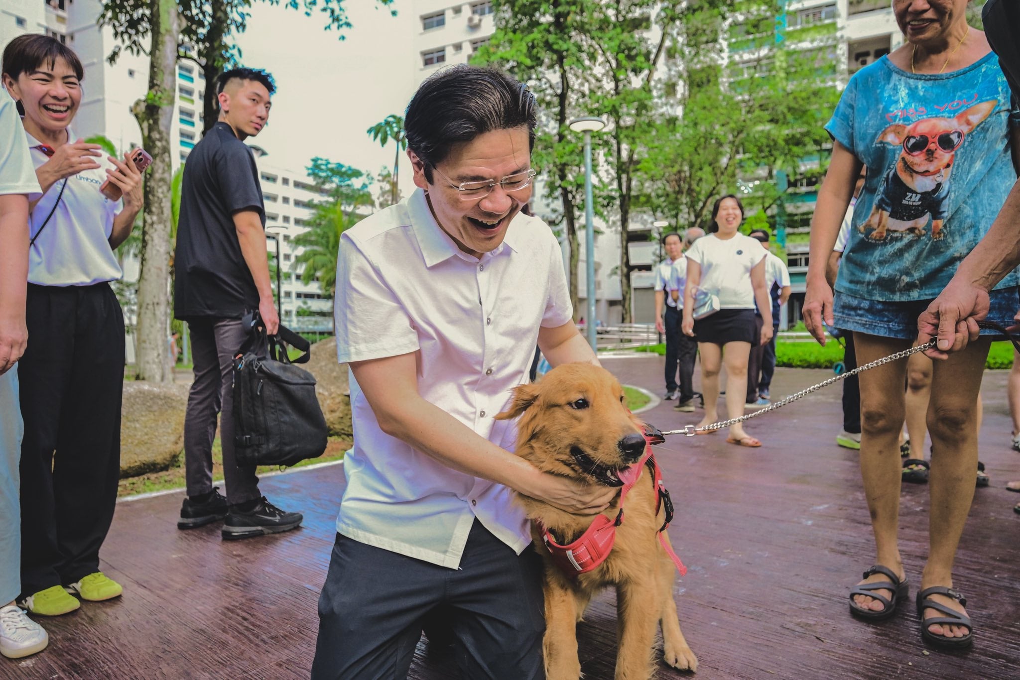 lawrence wong dogs