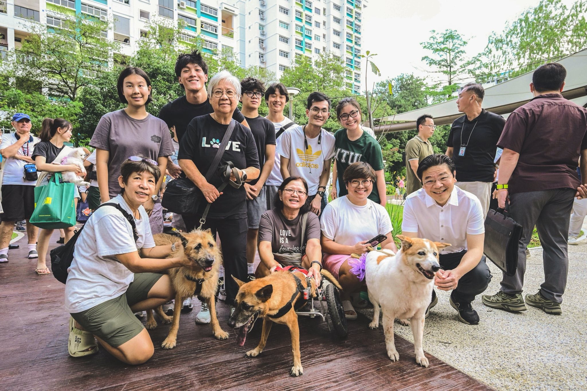 lawrence wong dogs