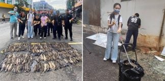 rats commercial centre malaysia