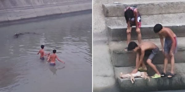 teens rescuing dog canal (1)