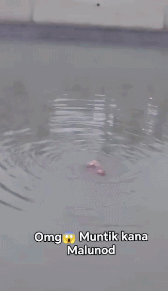 teens rescuing dog canal (1)