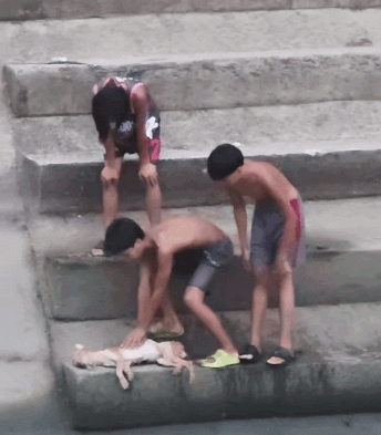 teens rescuing dog canal (2)