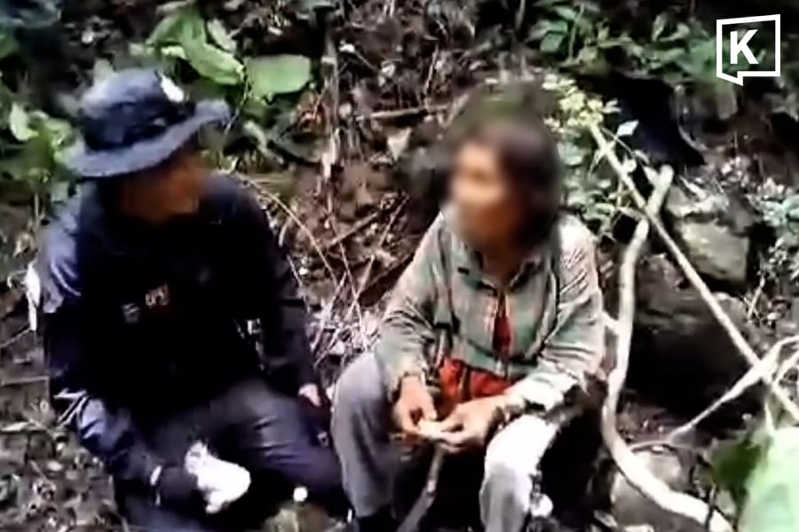 missing woman forest
