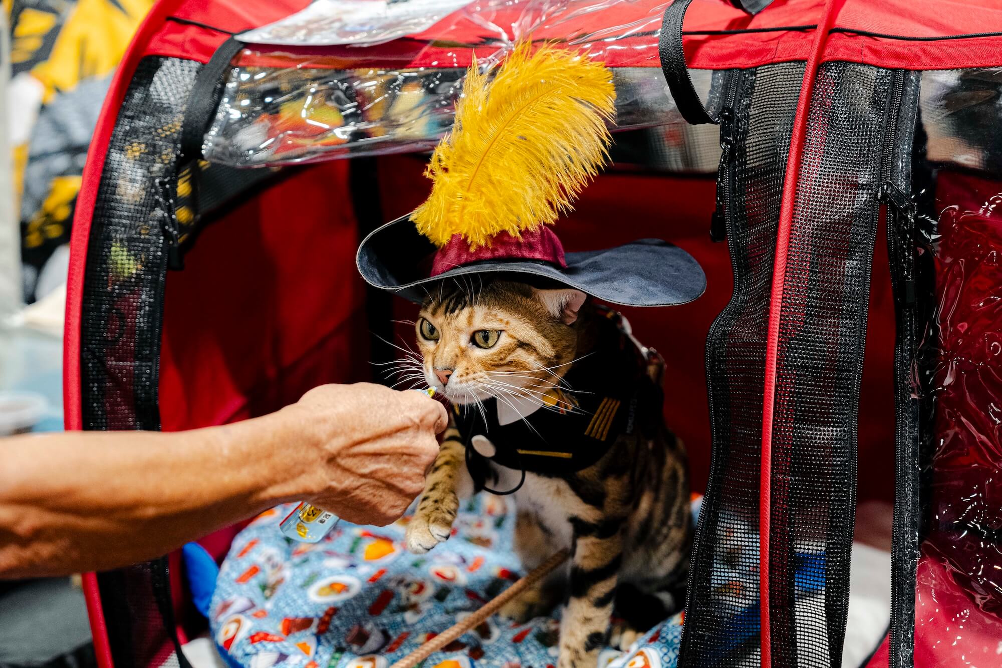 Asia Cat Expo 2026