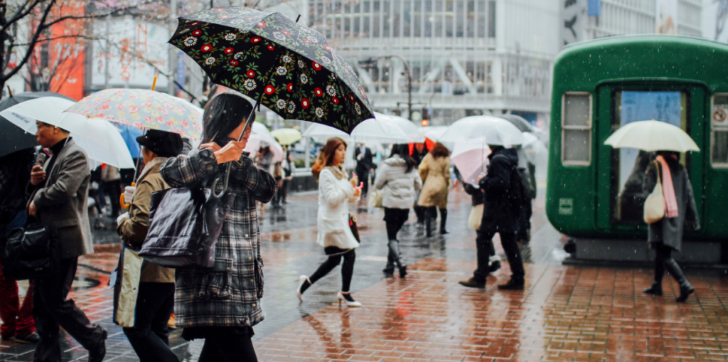 japan typhoon jangmi