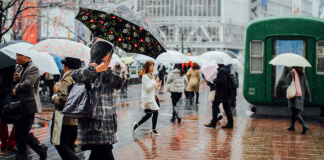 japan typhoon jangmi