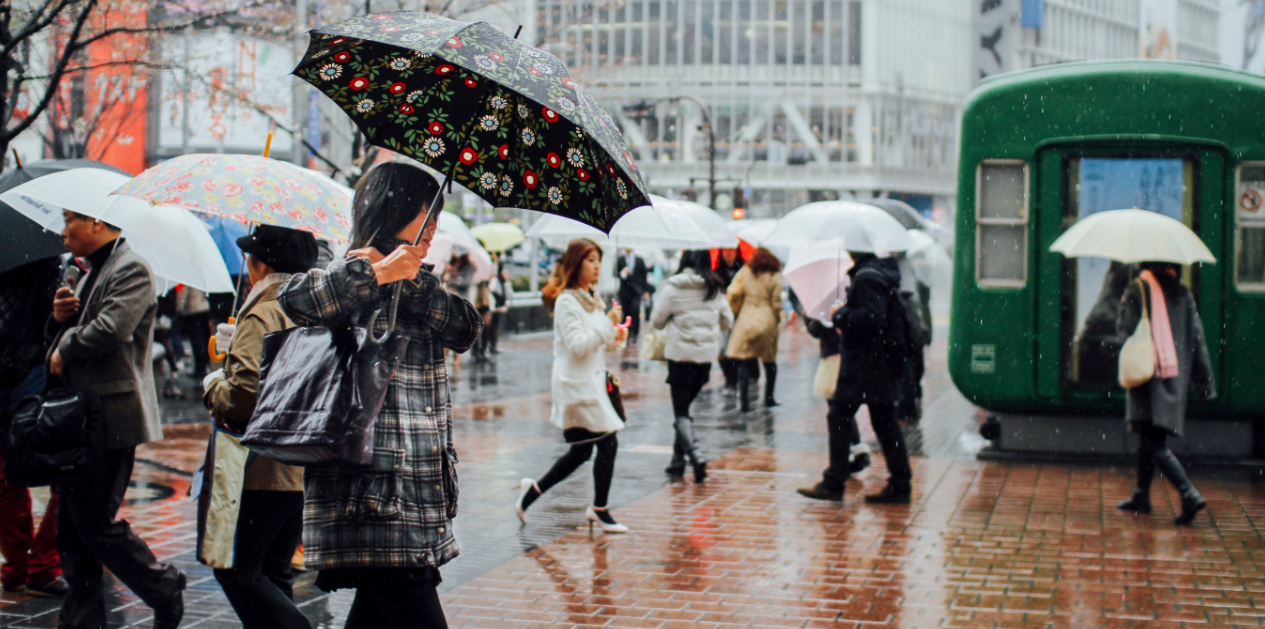 japan typhoon jangmi